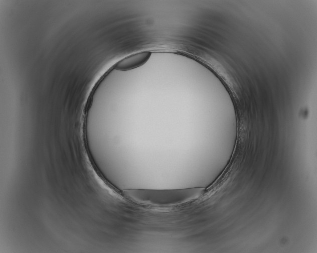 X0000096651484200803041138