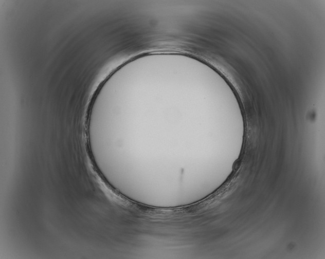 X0000096651485200803041138