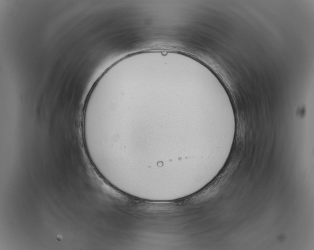 X0000096651486200803041138