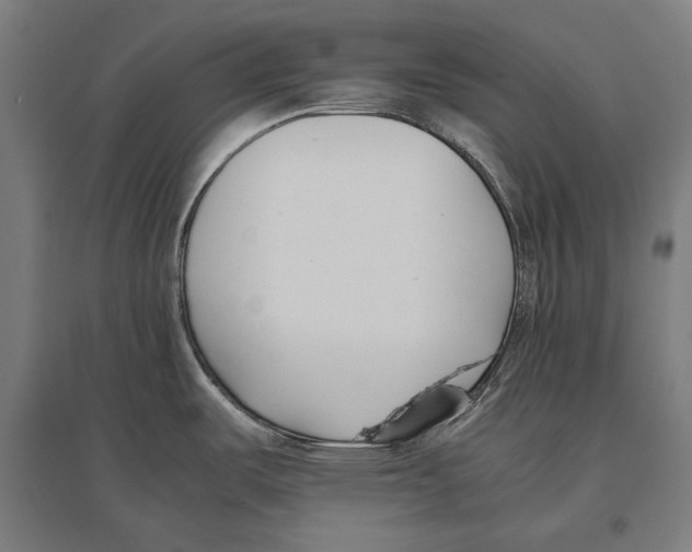 X0000096651487200803041138