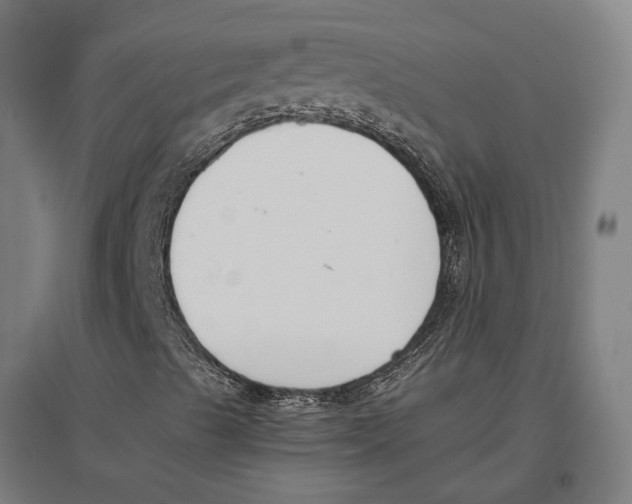 X0000096651489200803041137