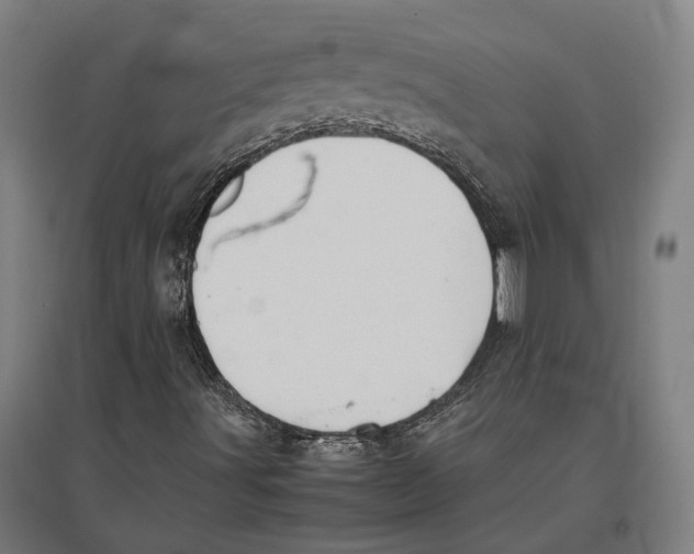 X0000096651491200803041137