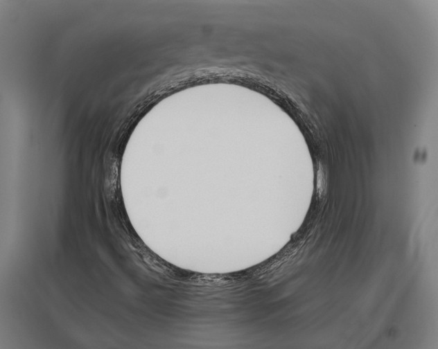 X0000096651492200803041137