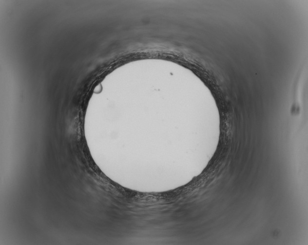 X0000096651493200803041137