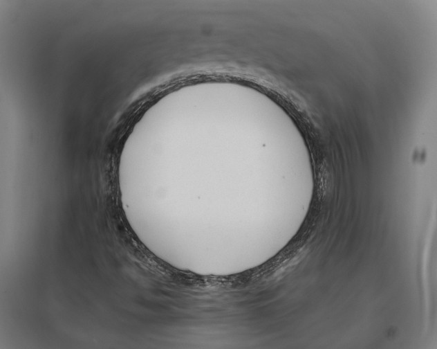 X0000096651494200803041137