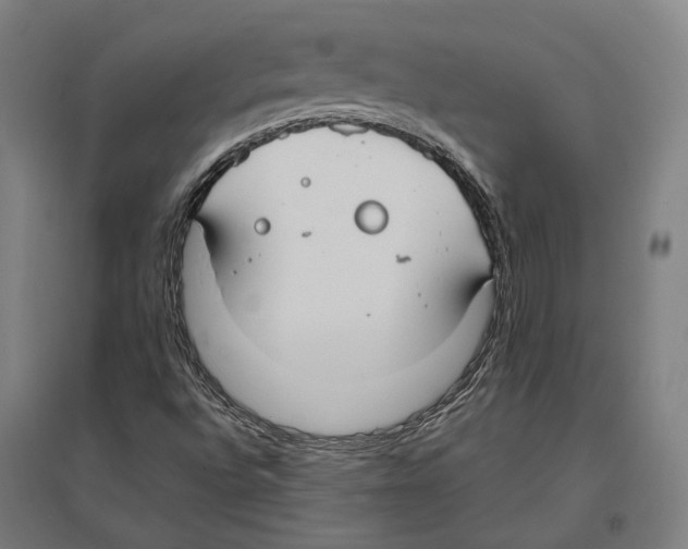 X0000096651496200803041137