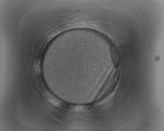 X0000096651497200803041137