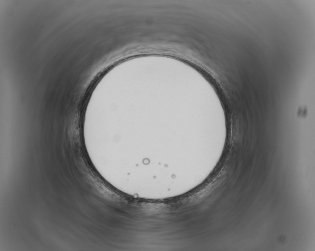 X0000096651498200803041137