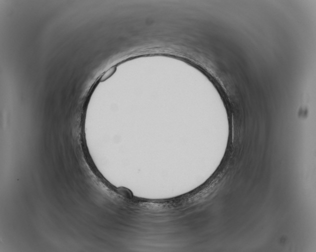 X0000096651500200803041137