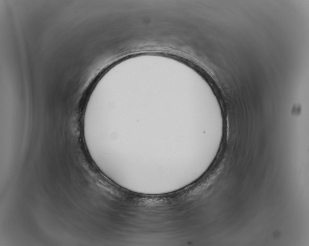 X0000096651501200803041137