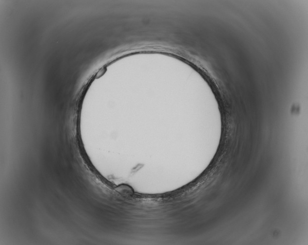 X0000096651504200803041137