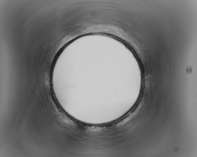 X0000096651505200803041137