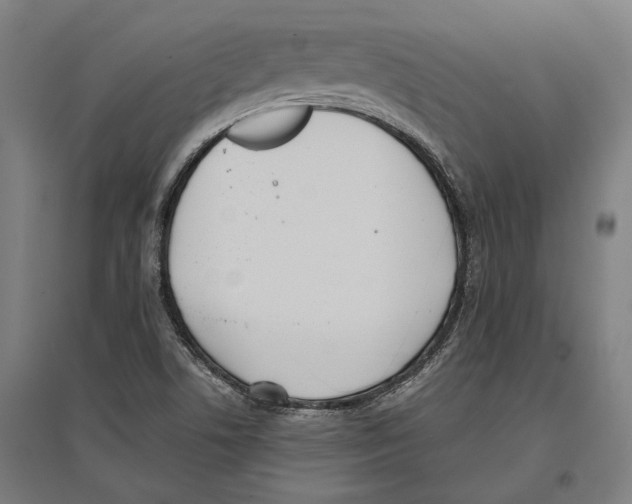 X0000096651506200803041137