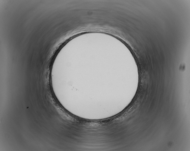 X0000096651507200803041137