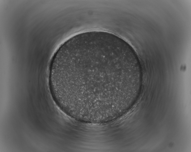 X0000096651508200803041137