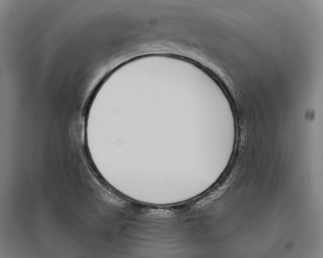 X0000096651509200803041137