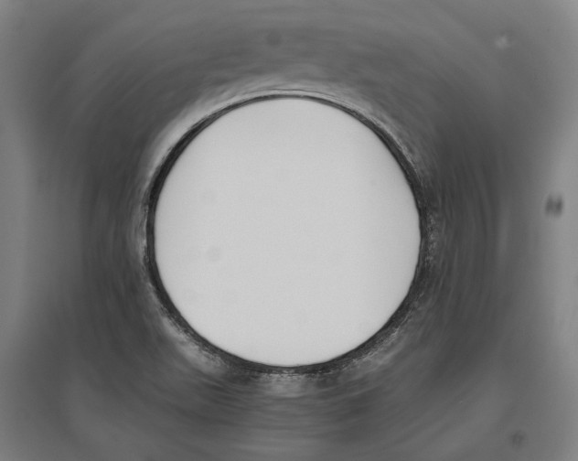 X0000096651511200803041138