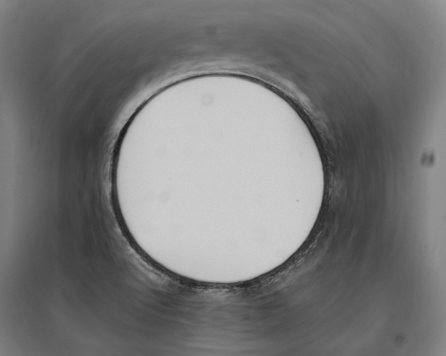 X0000096651512200803041138