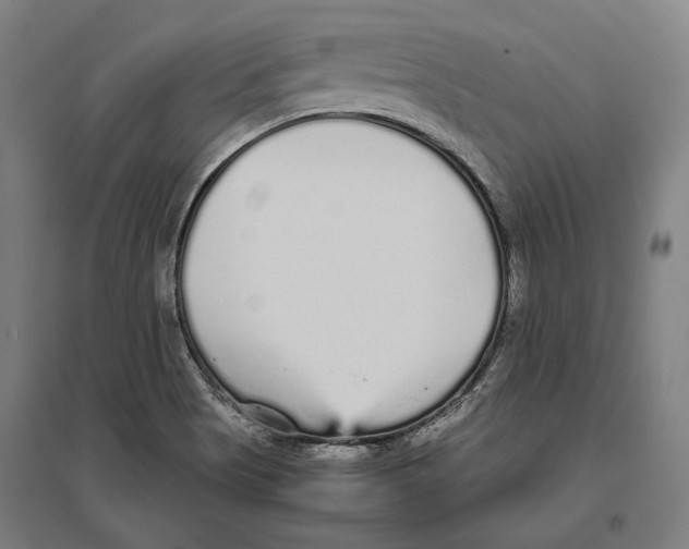 X0000096651513200803041138