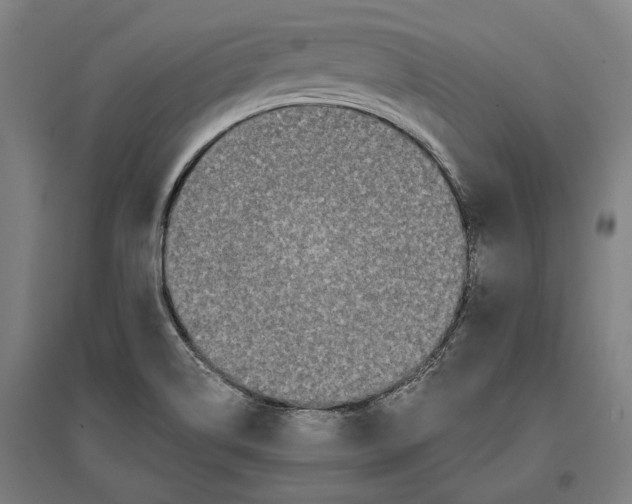 X0000096651514200803041138