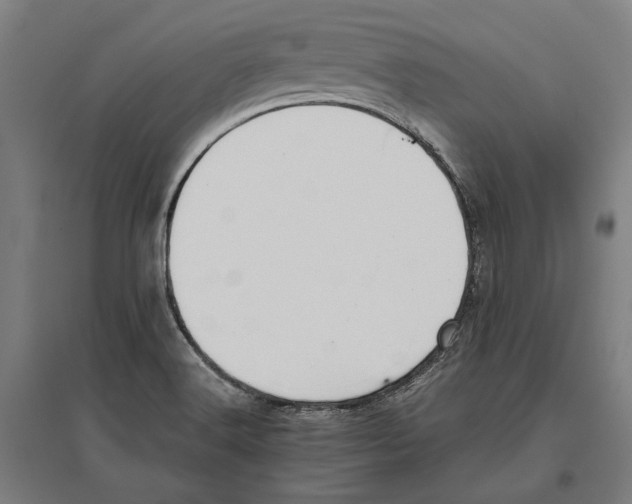 X0000096651516200803041138