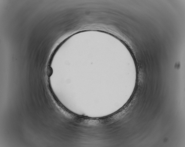 X0000096651517200803041138