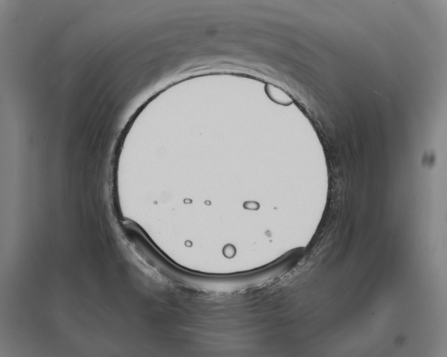 X0000096651518200803041138