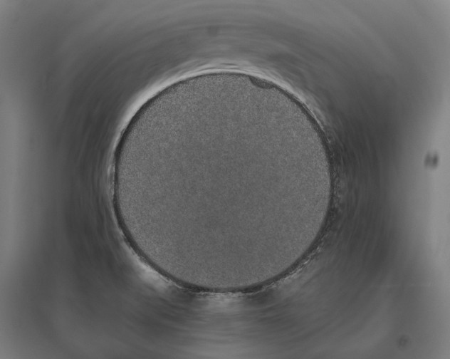 X0000096651519200803041138