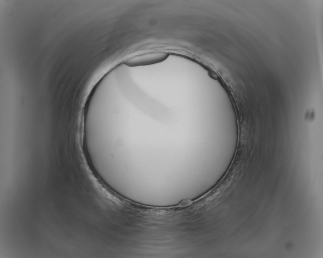 X0000096651520200803041138