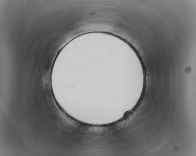 X0000096651521200803041138