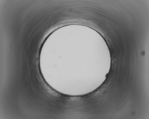 X0000096651523200803041138