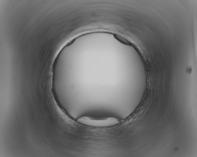 X0000096651524200803041138