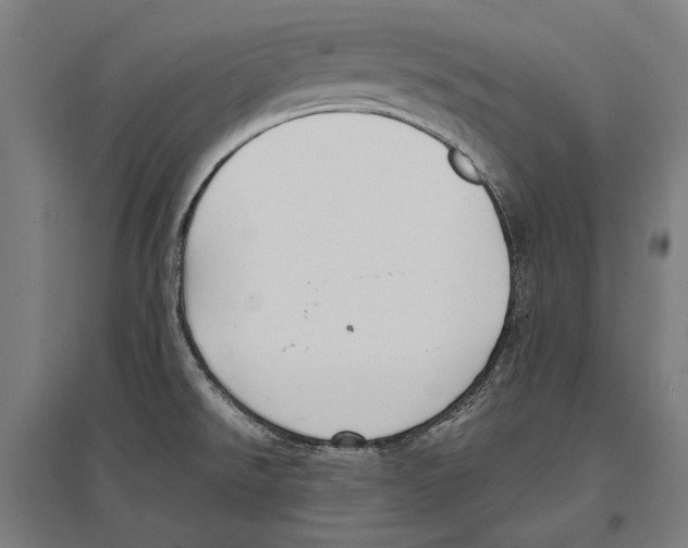 X0000096651526200803041138