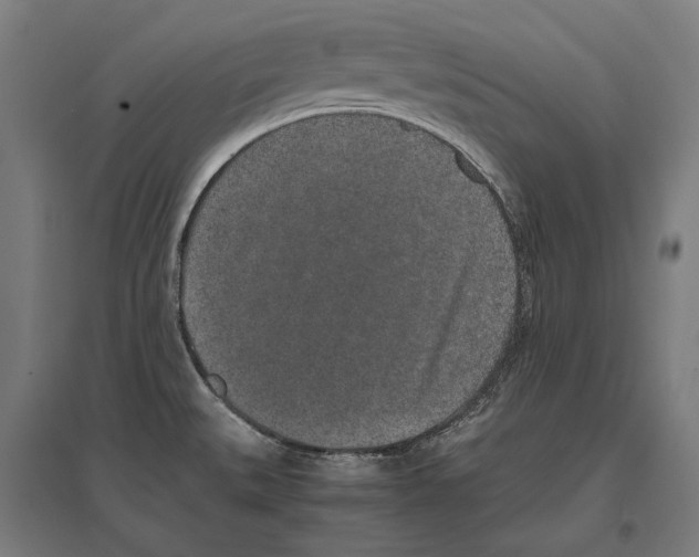 X0000096651527200803041138