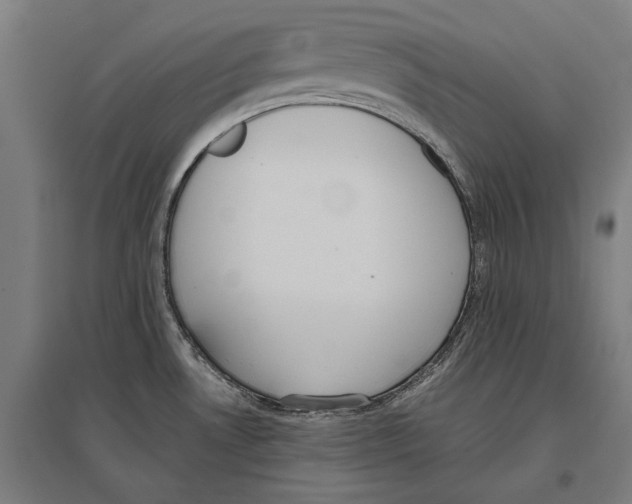 X0000096651530200803041138