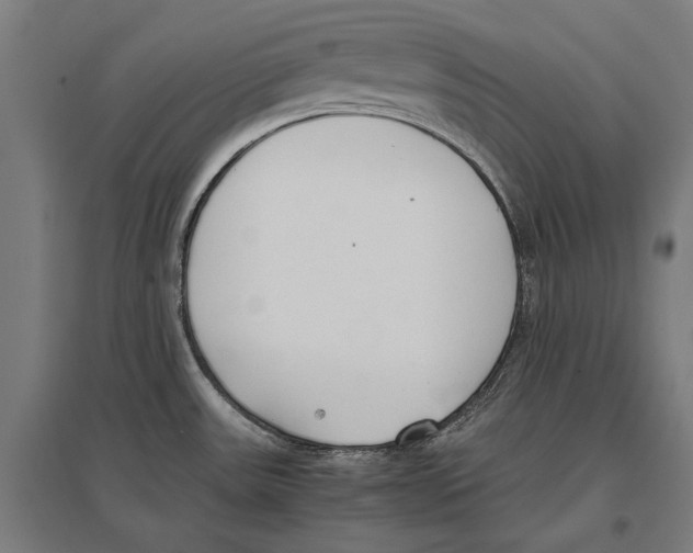 X0000096651531200803041138