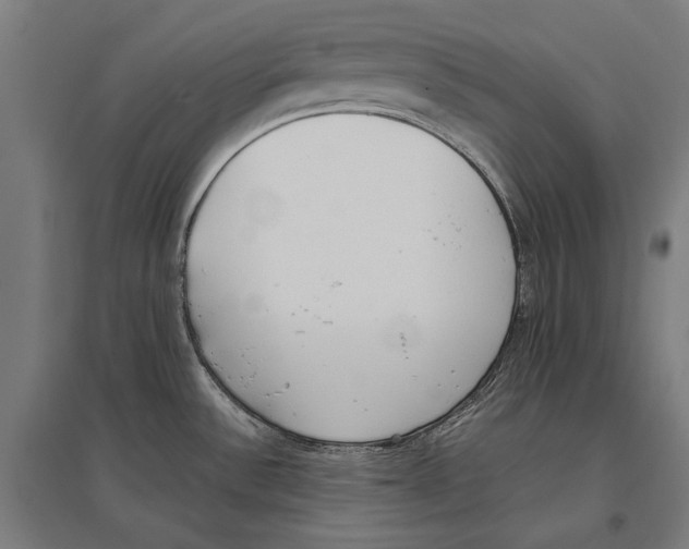 X0000096651532200803041138