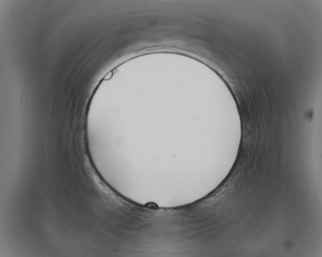 X0000096651534200803041138