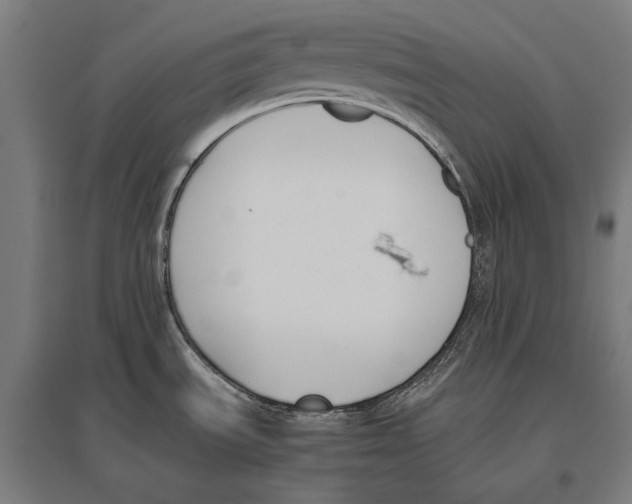 X0000096651535200803041138