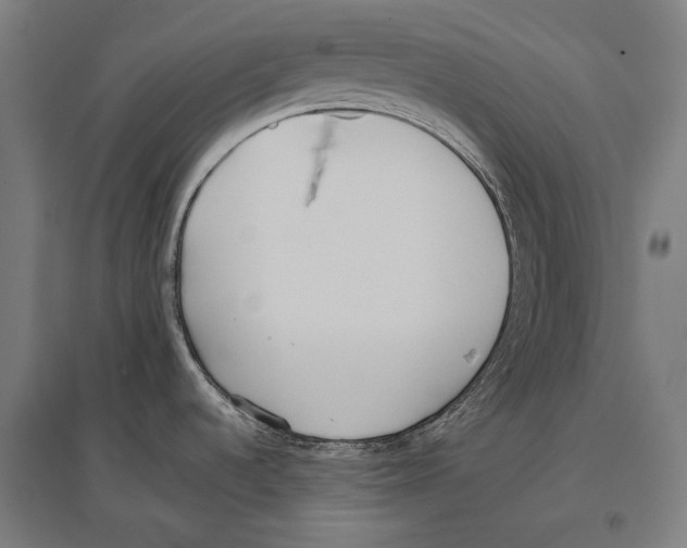 X0000096651536200803041138