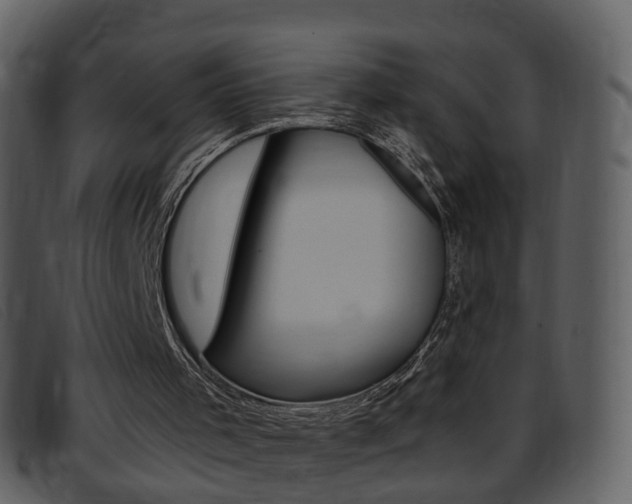 X0000096660001200802051007