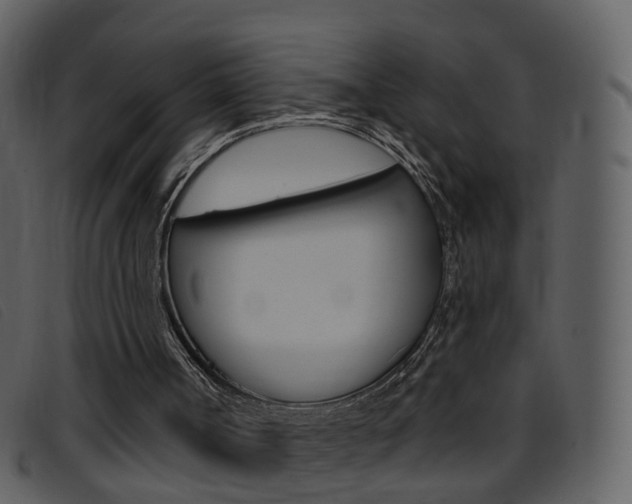 X0000096660002200802051007