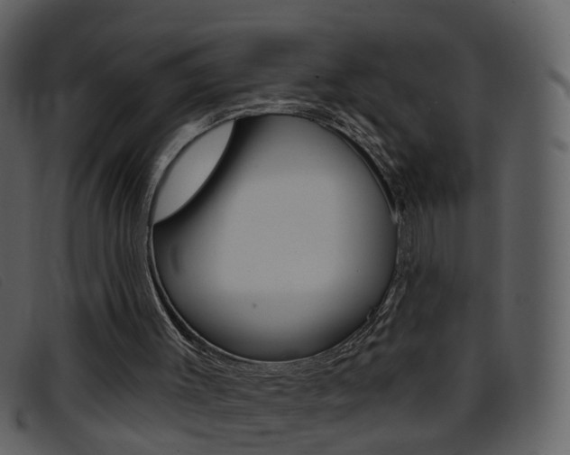 X0000096660003200802051007