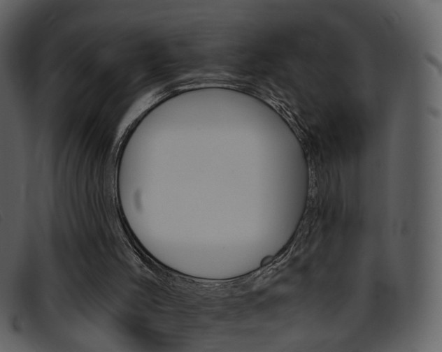 X0000096660004200802051007