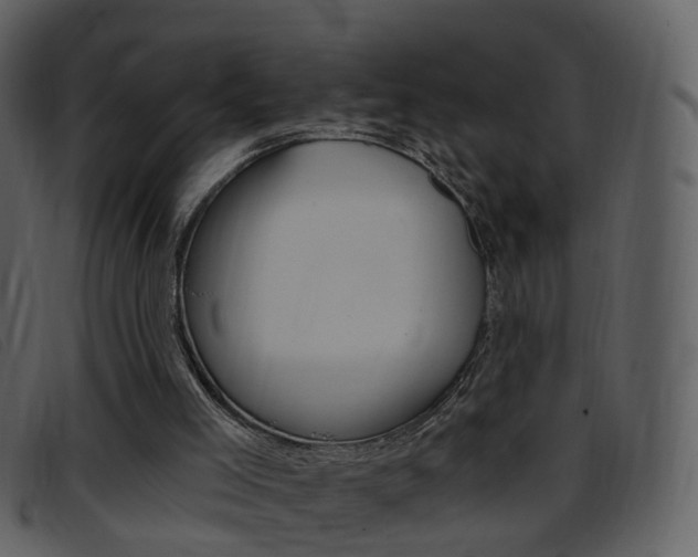 X0000096660005200802051007