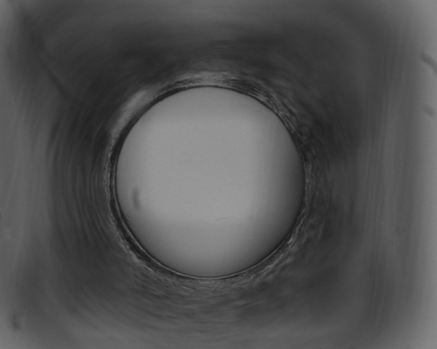 X0000096660006200802051007