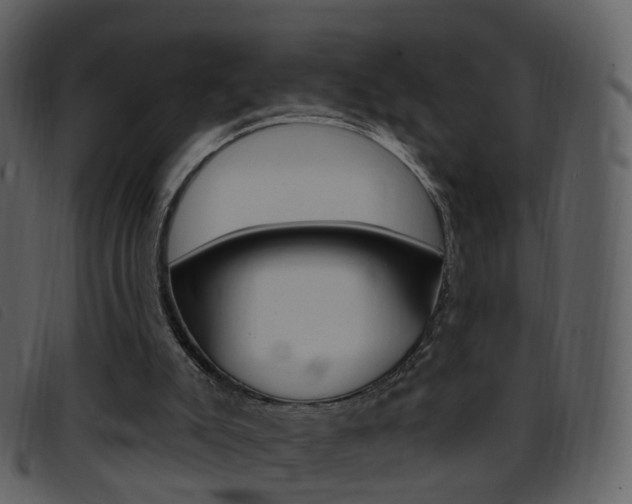 X0000096660007200802051007