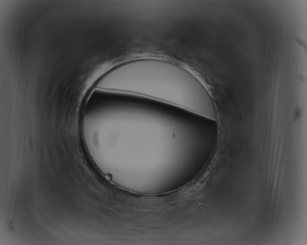 X0000096660008200802051007