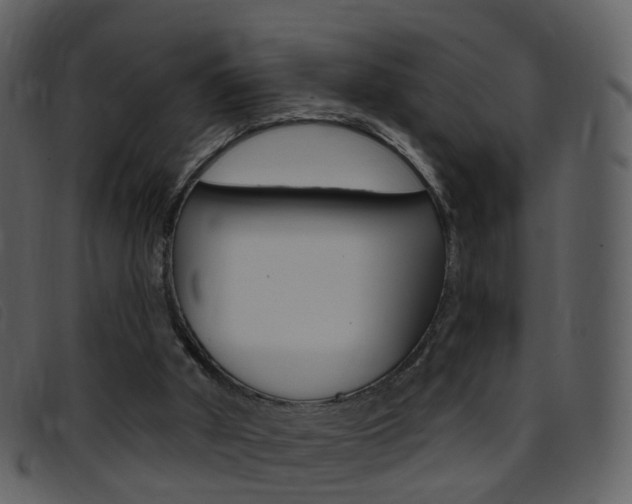 X0000096660010200802051007