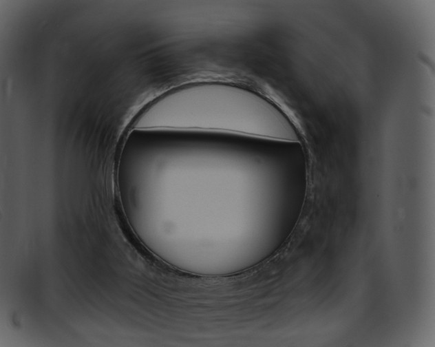 X0000096660011200802051007